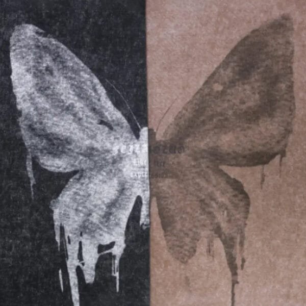 Papillon En Dualité : Fragilité Éthérée Et Beauté Naturelle Dans Un Design Captivant.